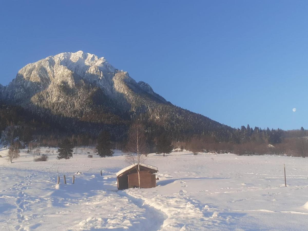 Taverna Pietrei Craiului Zărneşti Exterior foto